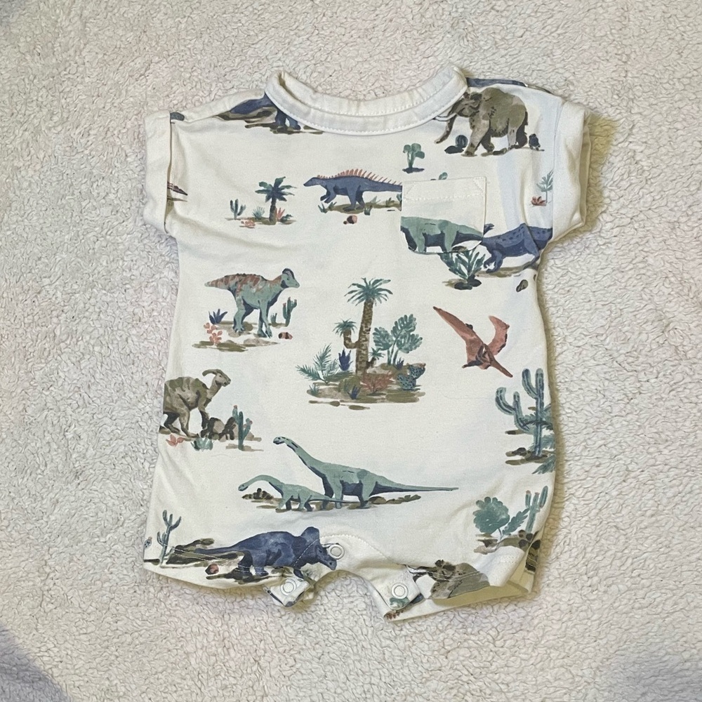 Carter's White and Green Dinosaur Bodysuit